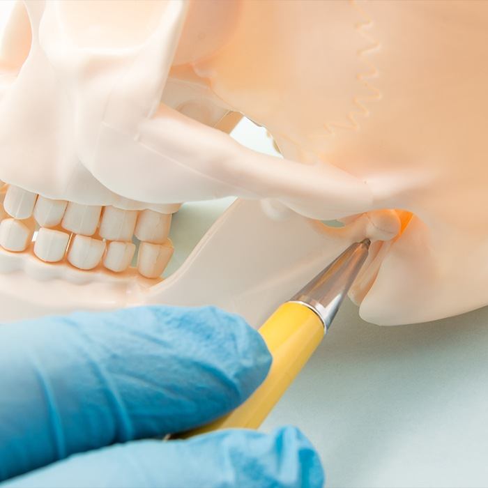 Dentist using model of jaw and skull bone to explain equilibration